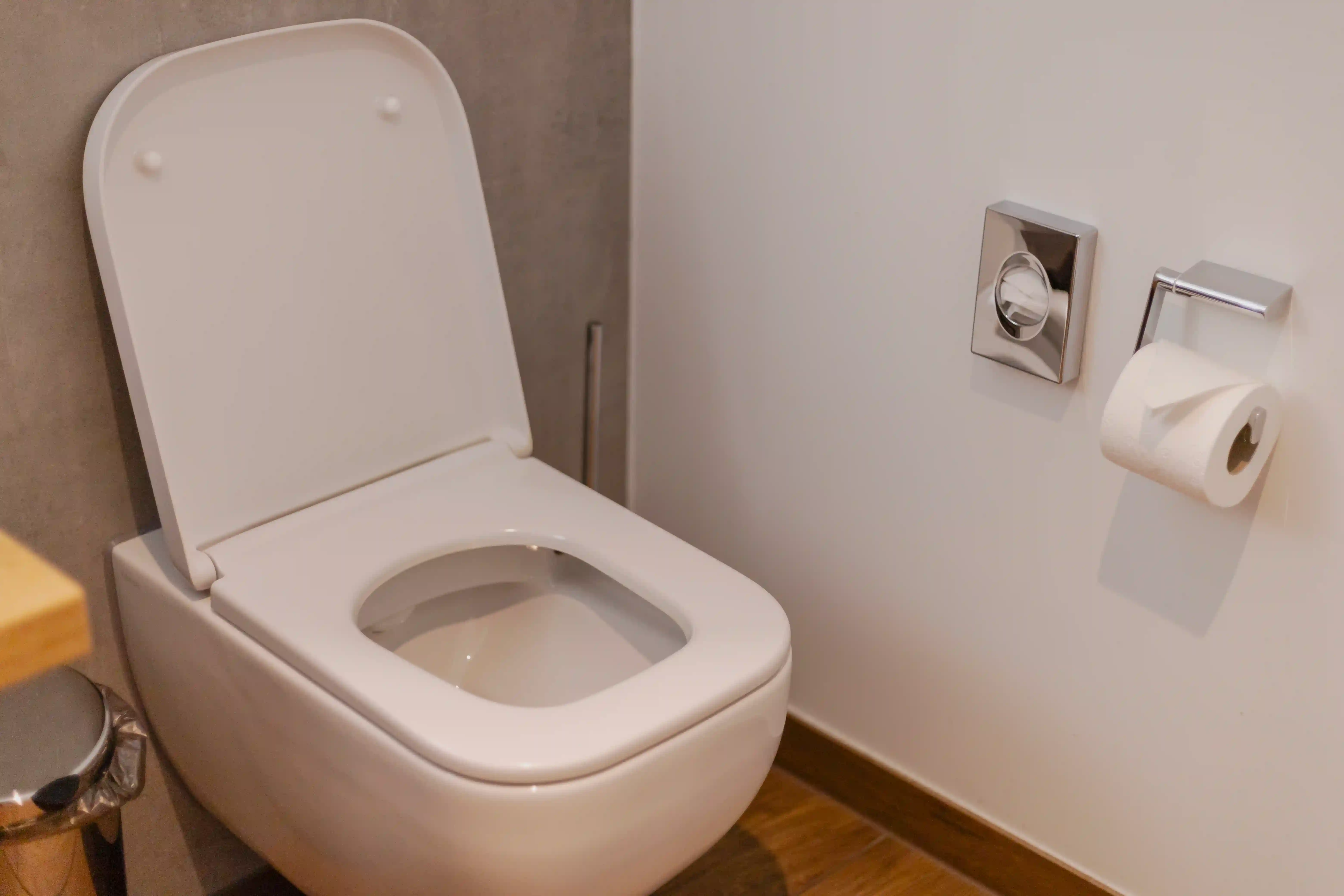 Najbolje navike za dugotrajni WC